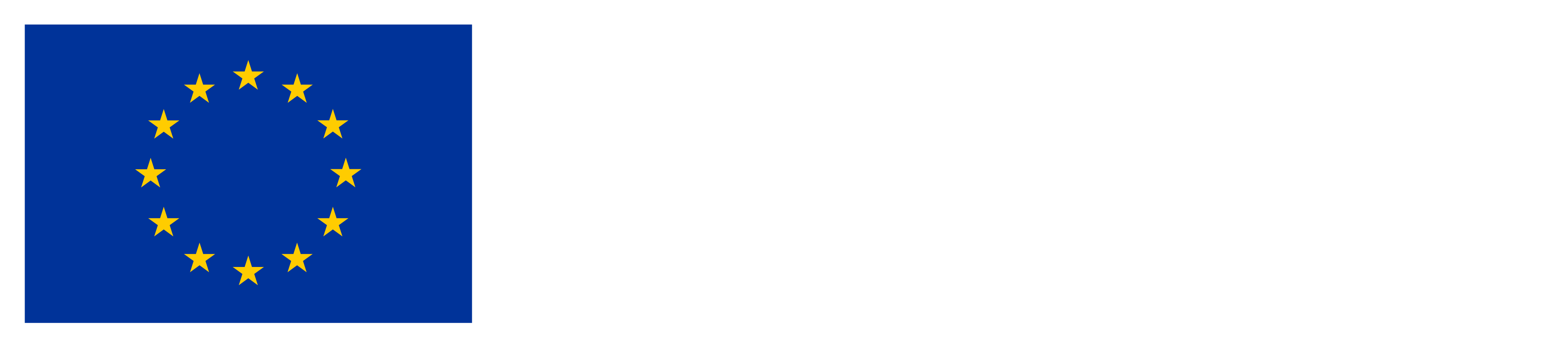 logo sovvenzione Unione Europea